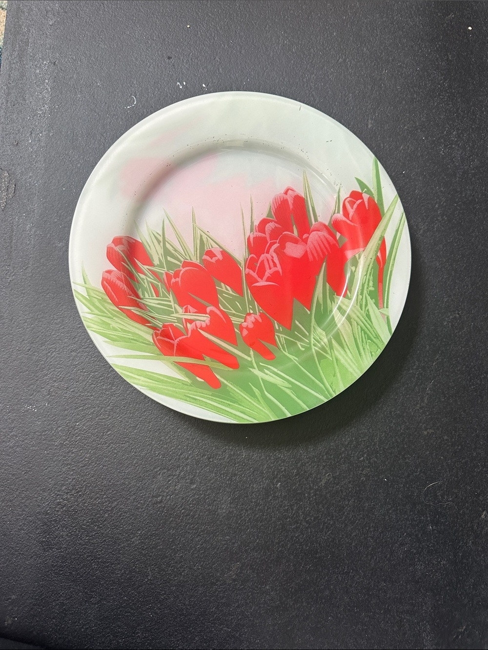 Red Tulip High-Quality set of 6 Glass Dinner Plates (11” diameter)